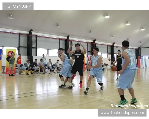 西安排球队在钻石联赛中的比赛经验与表现分析